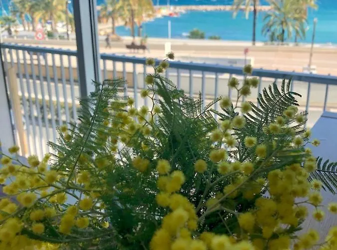 Appartement Etoile De - Menton, Garavan